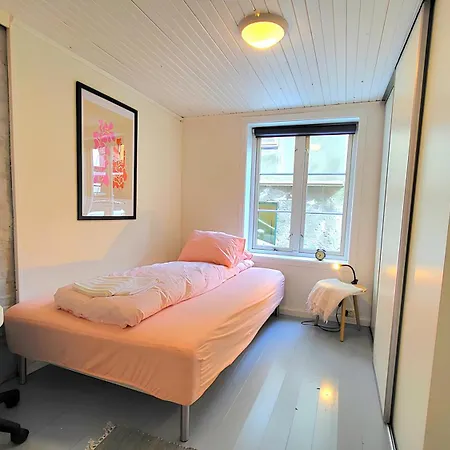 Fancy 2 Bedroom Flat, Cathedral View ! * Τρόντχαϊμ