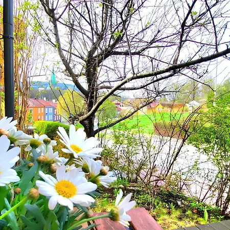 Fancy 2 Bedroom Flat, Cathedral View !